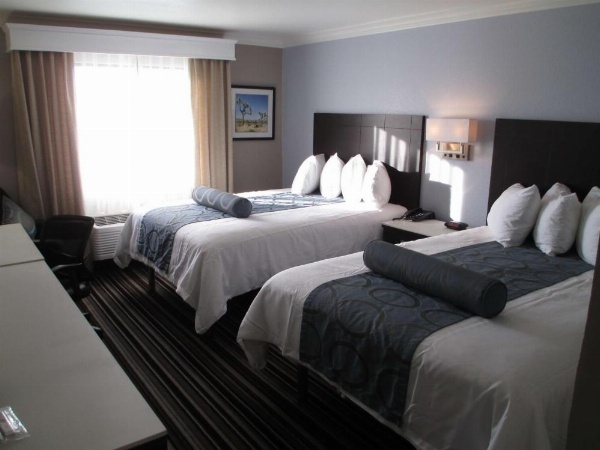 Best Western Plus Diamond Valley Inn image 15